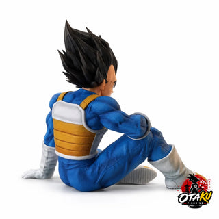 Figurine Vegeta Salle du Temps - Dragon Ball Z™
