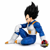 Figurine Vegeta Salle du Temps - Dragon Ball Z™