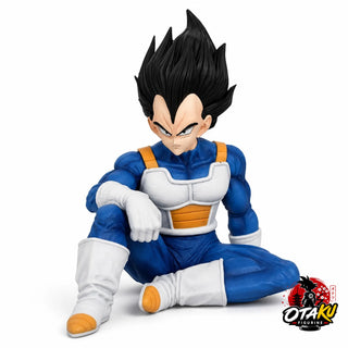 Figurine Vegeta Salle du Temps - Dragon Ball Z™